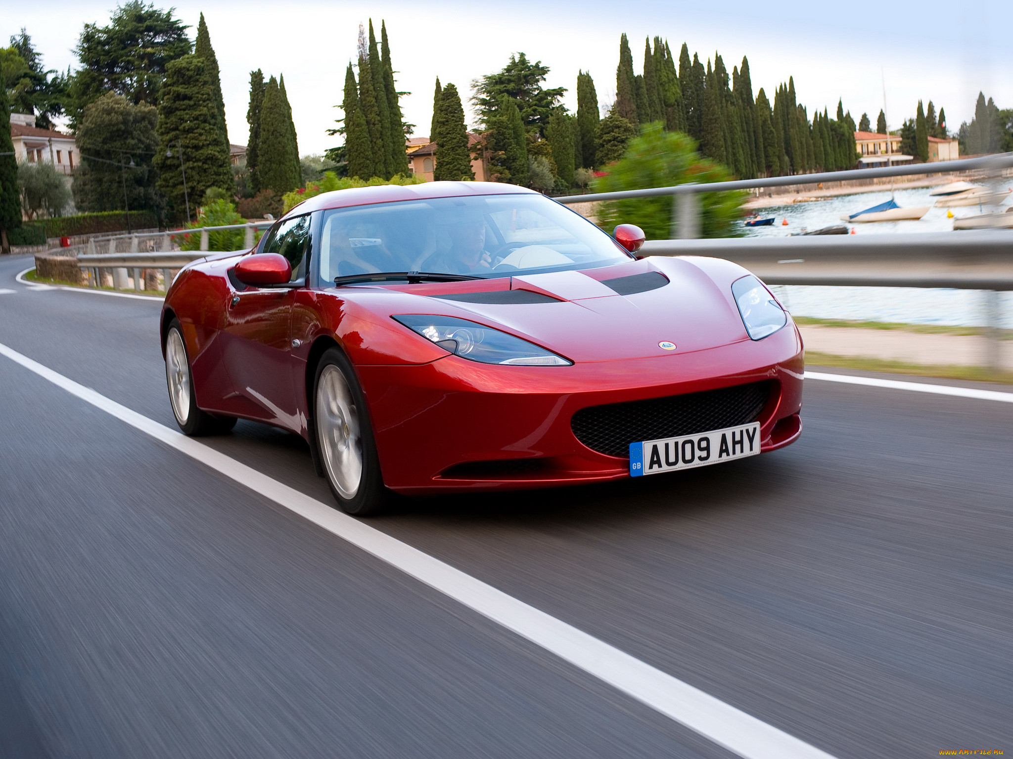 , lotus